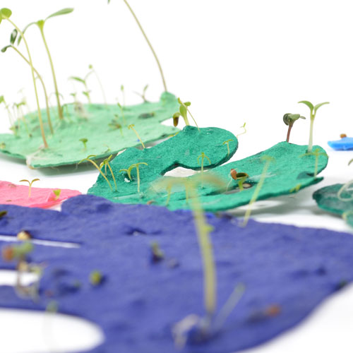 sprouting seed paper
