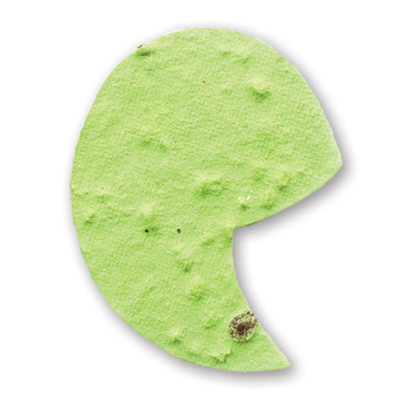 lime green apostrophe seed paper