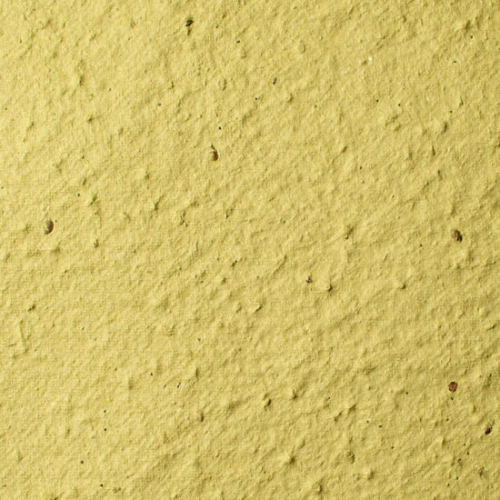 chartreuse plantable seed paper