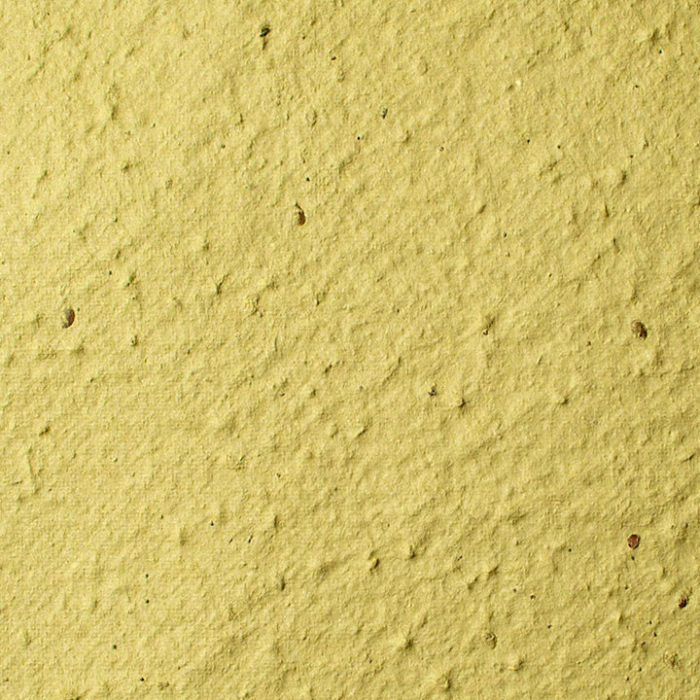 chartreuse plantable seed paper