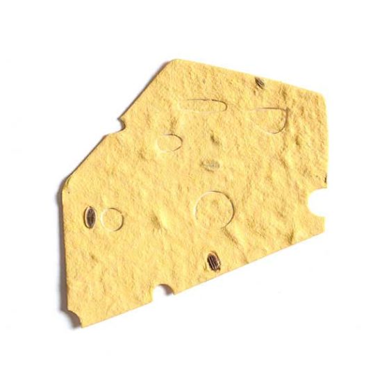 yellow no hole cheese seed paper
