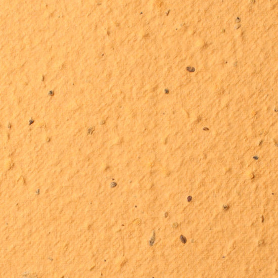 Desert orange Plantable Seed Paper
