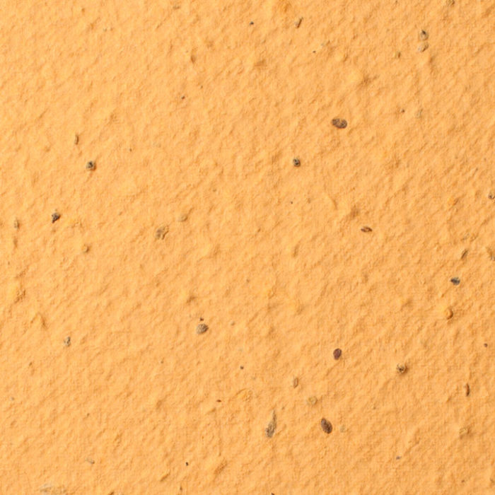 Desert orange Plantable Seed Paper
