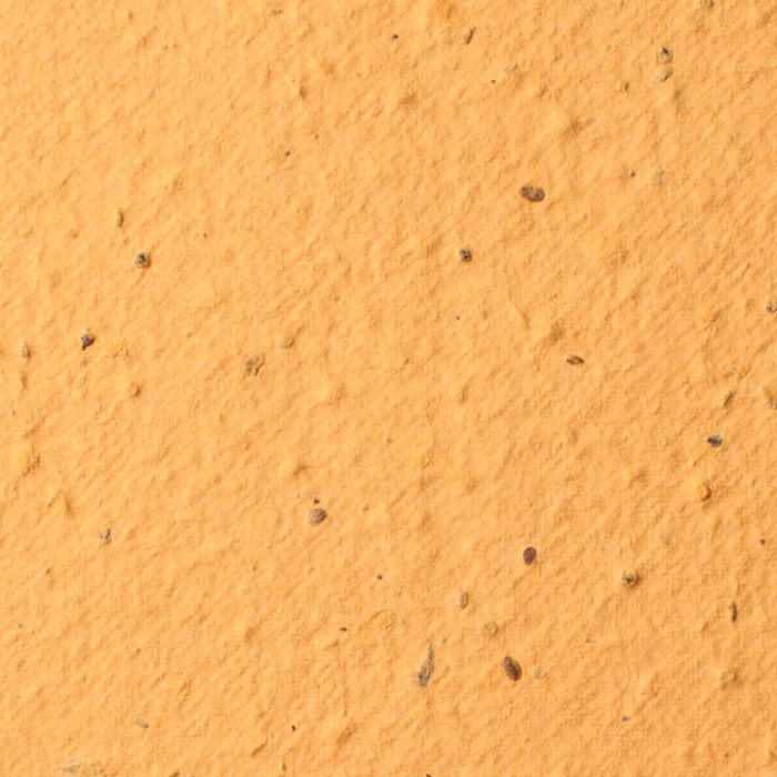 Desert orange Plantable Seed Paper