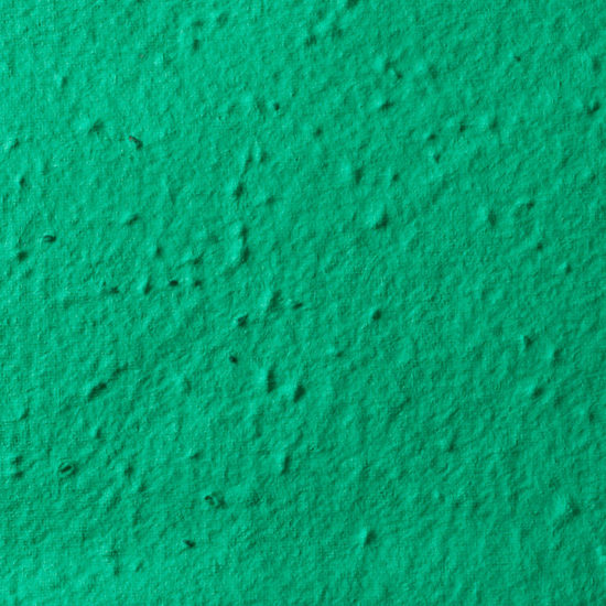 Forest Evergreen Seed Paper