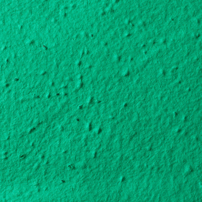 Forest Evergreen Seed Paper