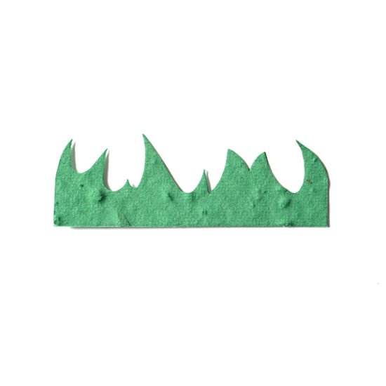 Small Green Grass Seed Paper