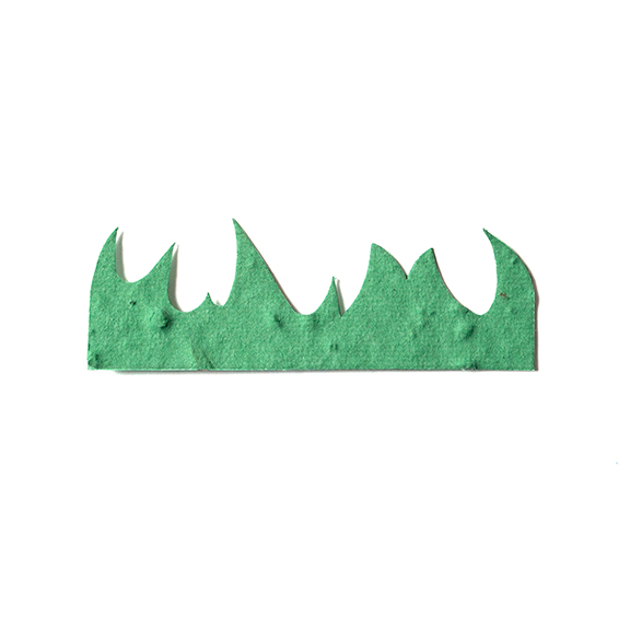 Small Green Grass Seed Paper