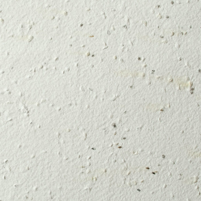 Premium White Herb Seed Paper