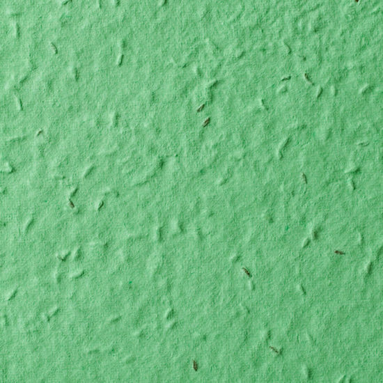 Green Lettuce Seed Paper