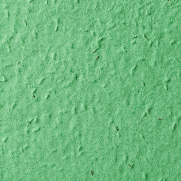 Green Lettuce Seed Paper