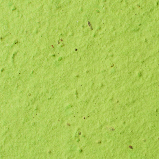 lime Plantable Seed Paper