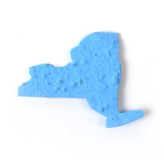 new york state blue seed paper
