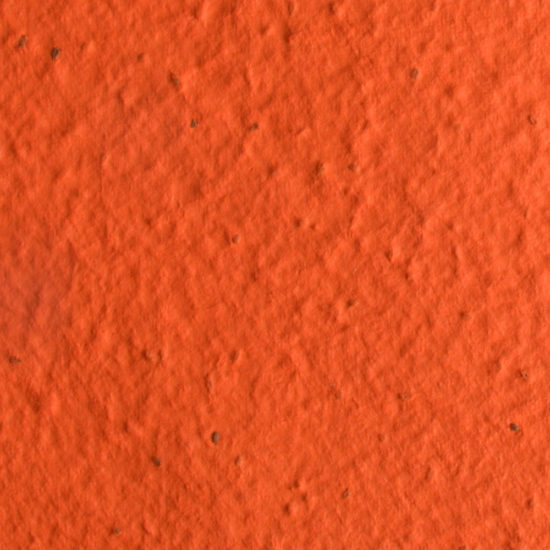 orange-carrot-sheet-seed-paper