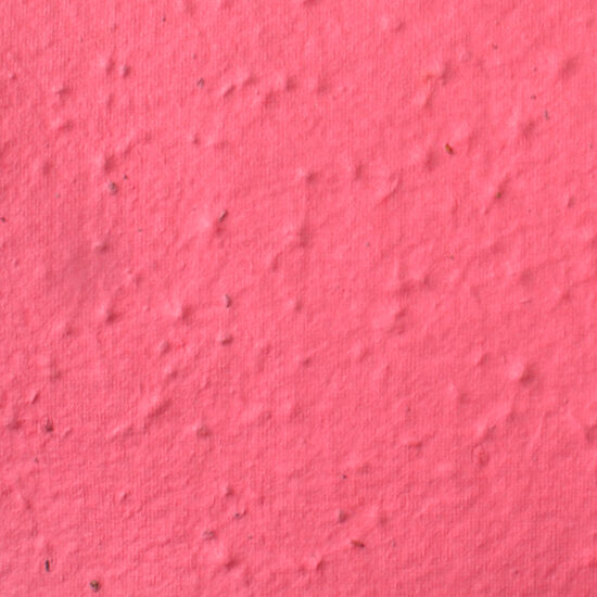 strawberry sheet paper