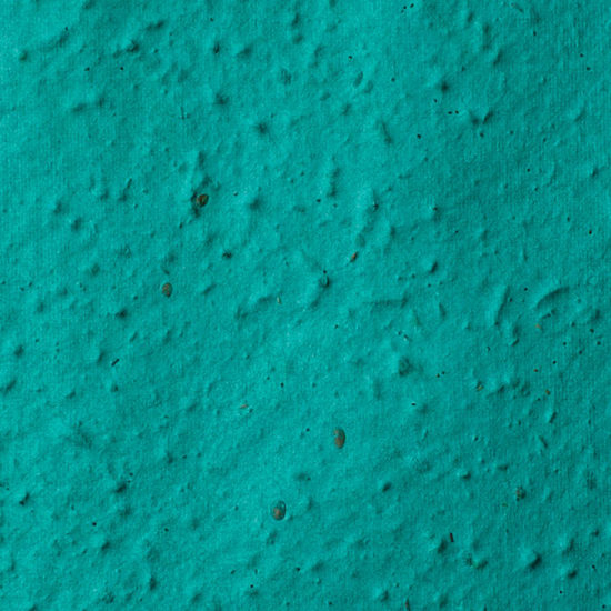 Teal Plantable Seed Paper