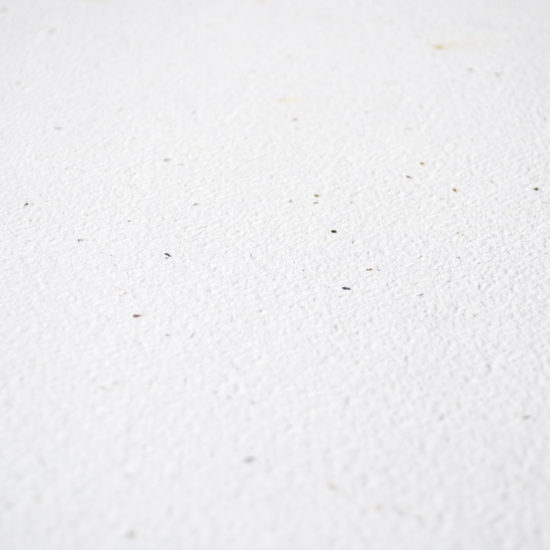 Premium Seed Paper Sheet