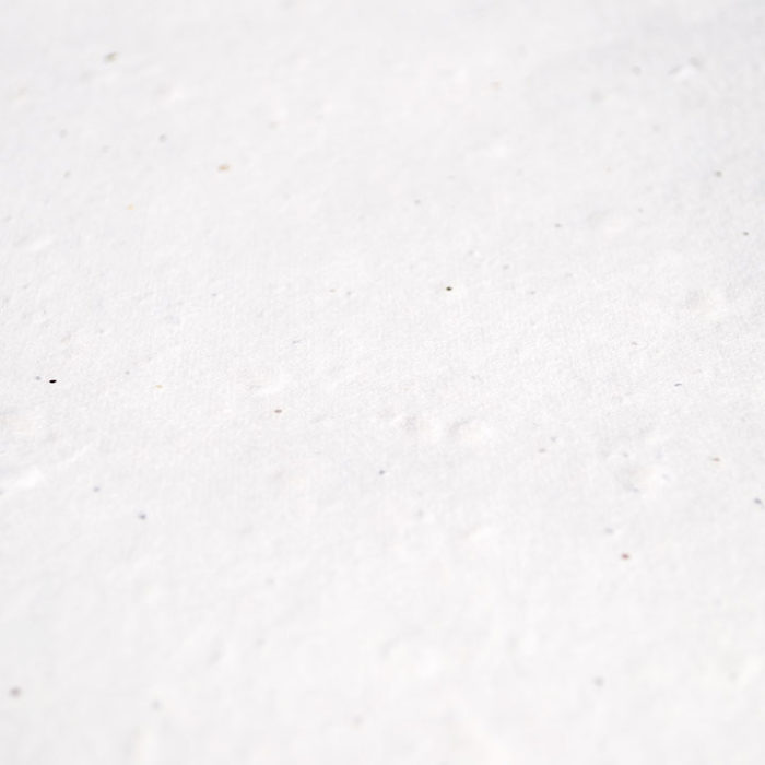 Economy Plantable Seed Paper