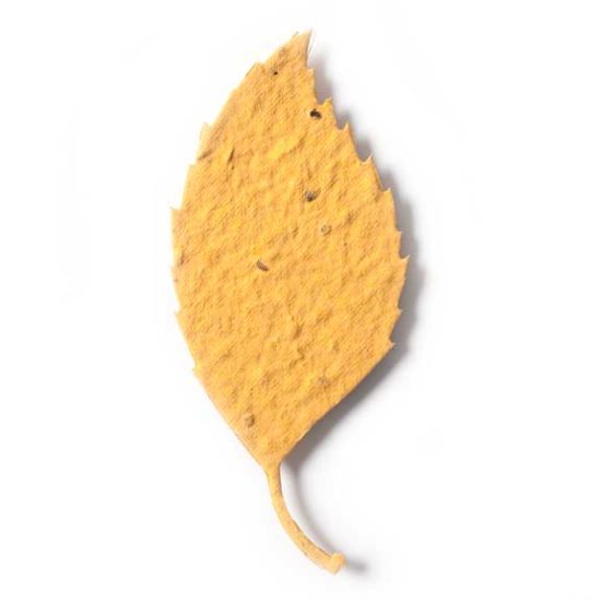 Yellow Aspen Leaf Plantable Paper