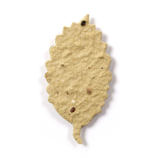 Neutral Birch Leaf Seed Paper