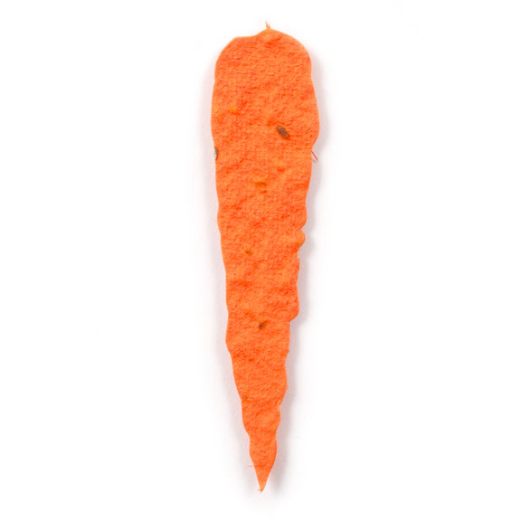 Orange Carrot Plantable Paper