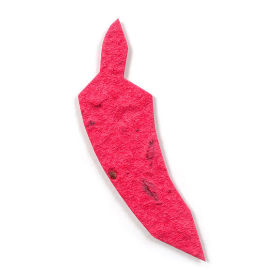 Cranberry Red Chilli Pepper Seed Paper