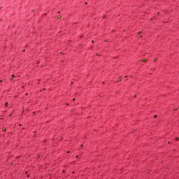 Cranberry Red Plantable Seed Paper