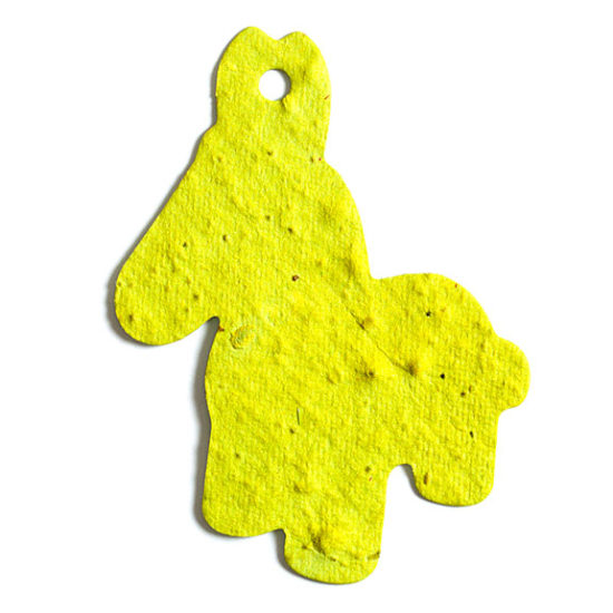 Yellow Donkey Seed Paper