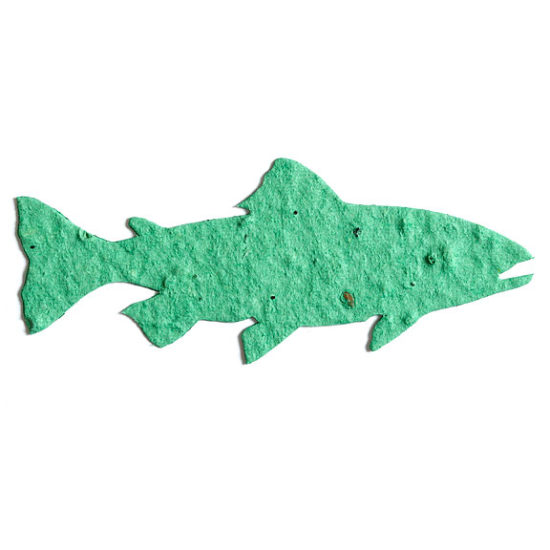 Light Green Fish Seed Paper