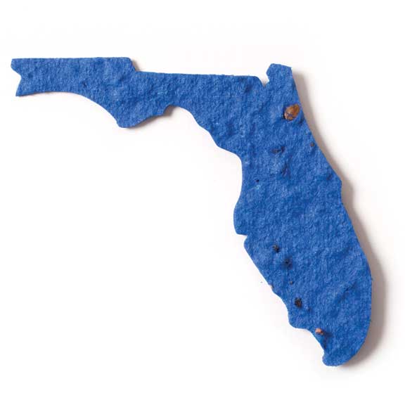 Blue Florida State Seed paper