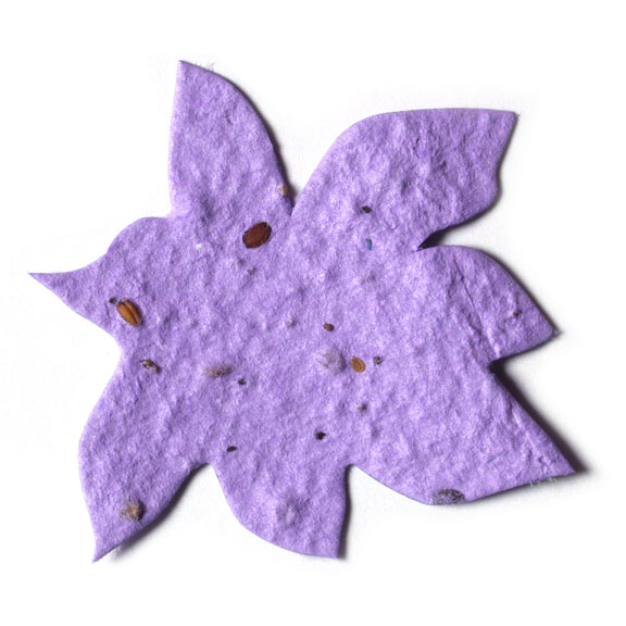 Purple Iris Flower Seed Paper