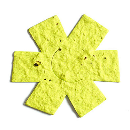 Yellow Asterisk Seed Paper
