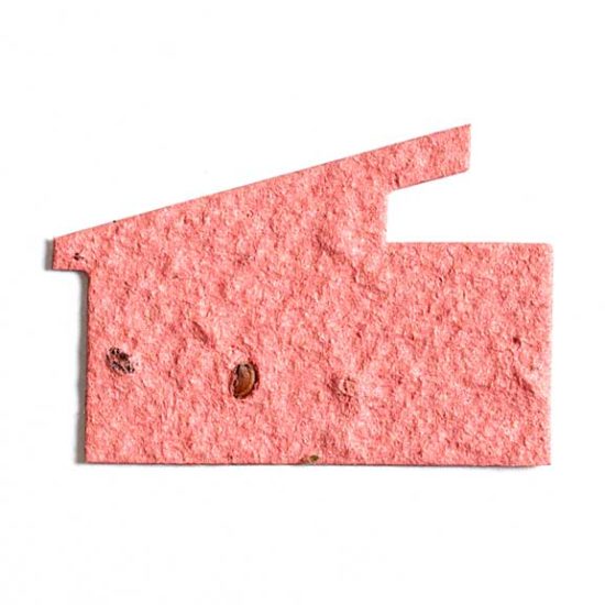 Salmon Pink House Seed Paper