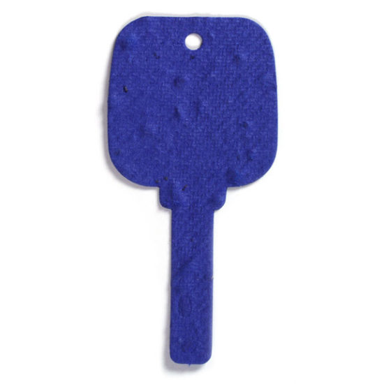 Dark Blue Key Plantable Paper