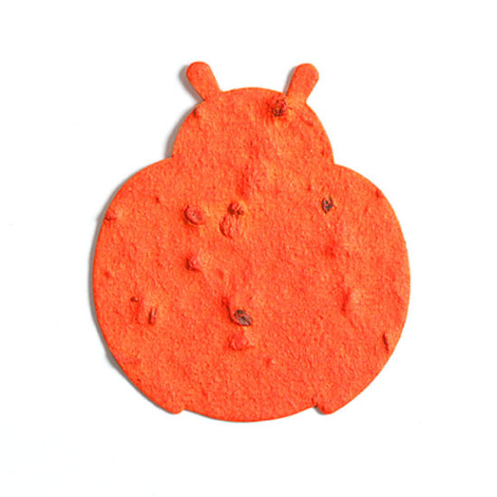 Orange Ladybug Seed Paper