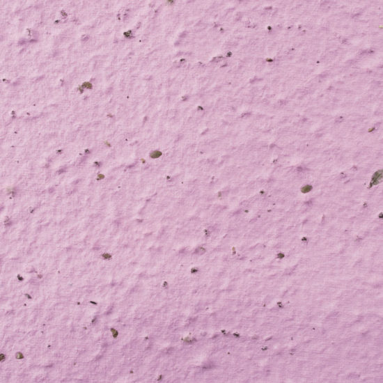 Lavender plantable Seed Paper