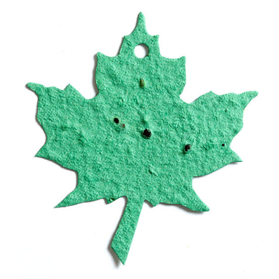 Light Green Maple Leaf Plantable Paper
