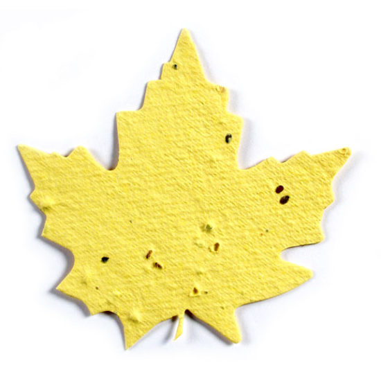 Bright Yellow Maple Leaf Seed Paper