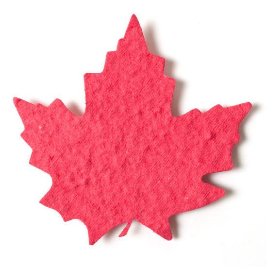 maple leaf seed paper