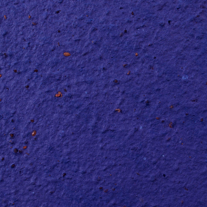 Royal Blue Plantable Seed Paper