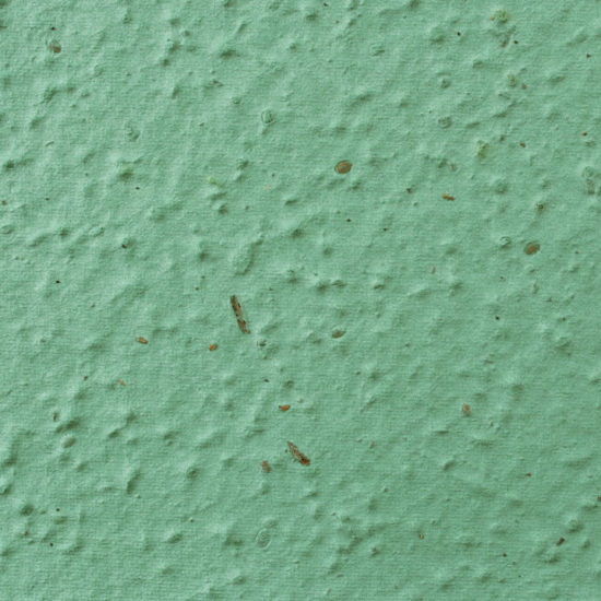 Sage Plantable Seed Paper