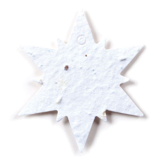 White Crystal Snowflake Seed Paper