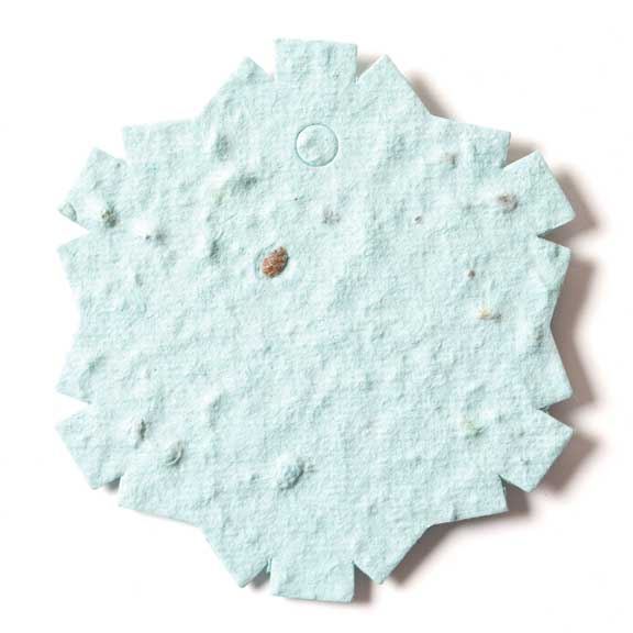 Light Blue Snowflake Plantable Paper