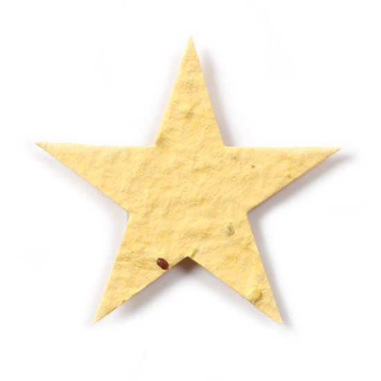 Bright Yellow Star Seed Paper