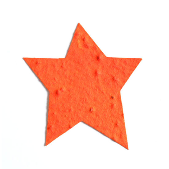 Orange Star Plantable Paper
