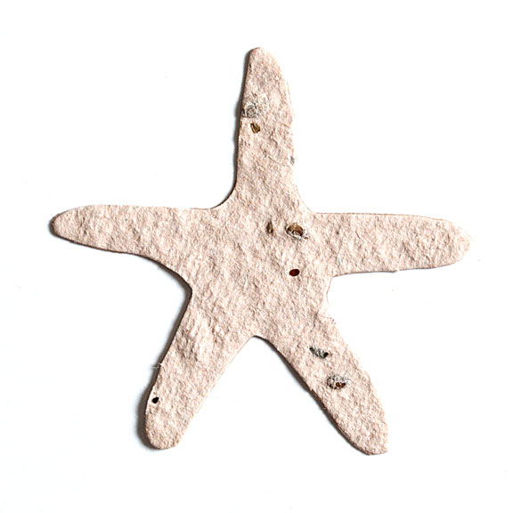 Pale Neutral Starfish Seed Paper