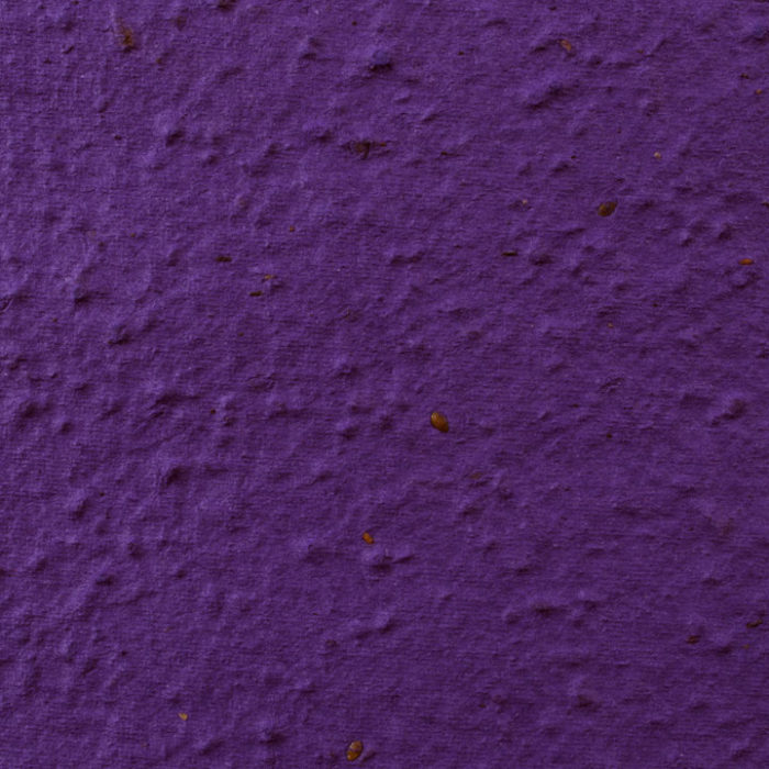 Violet Plantable Seed Paper