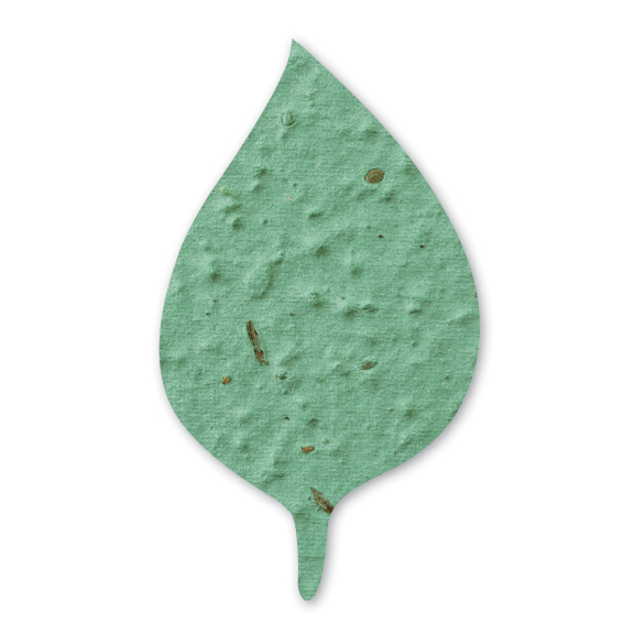 Basil Leaf Sage Seed Paper