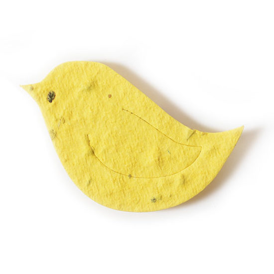 seed paper bird