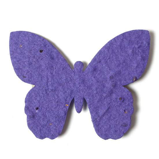 butterfly seed paper